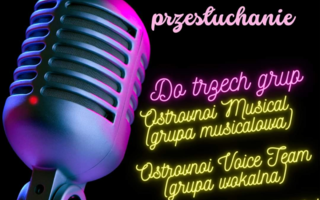 Przesłuchanie do grup muzycznych